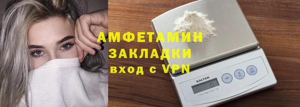 гидра Елабуга