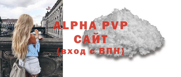 гидра Елабуга