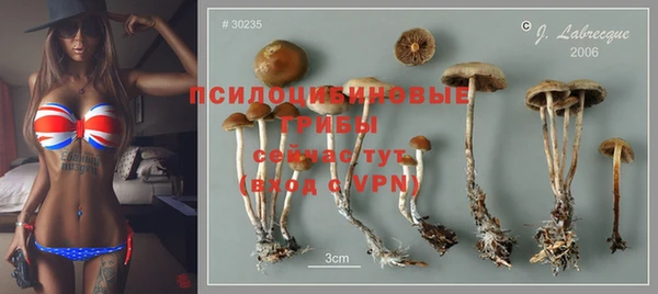 гидра Елабуга