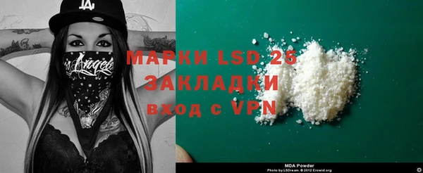 прущие грибы Елизово