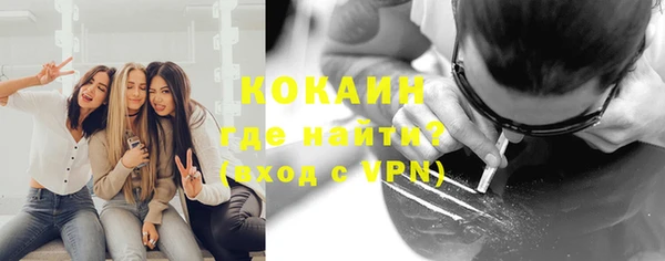прущие грибы Елизово