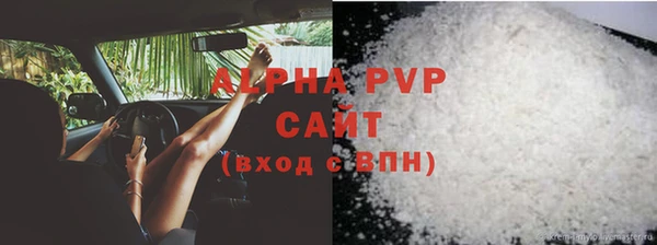 прущие грибы Елизово