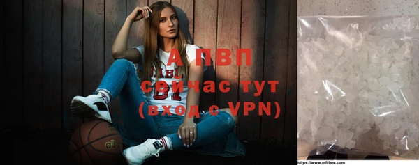 прущие грибы Елизово