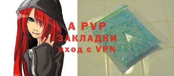 гидра Елабуга