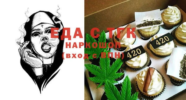 PSILOCYBIN Ельня