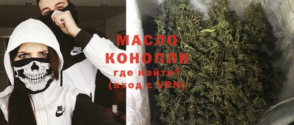 PSILOCYBIN Ельня