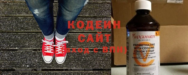 хмурый Дмитровск