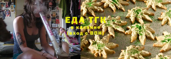 гидра Елабуга