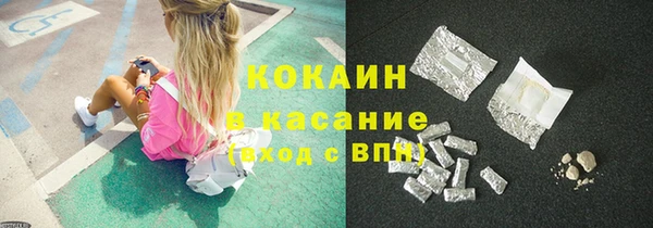 прущие грибы Елизово
