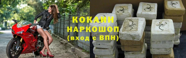гидра Елабуга