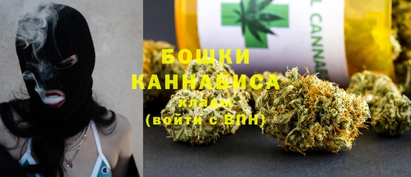 гидра Елабуга