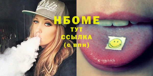 гидра Елабуга