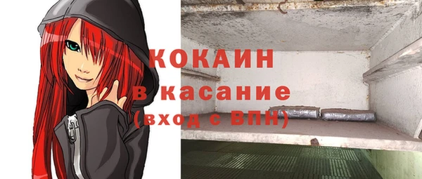 прущие грибы Елизово